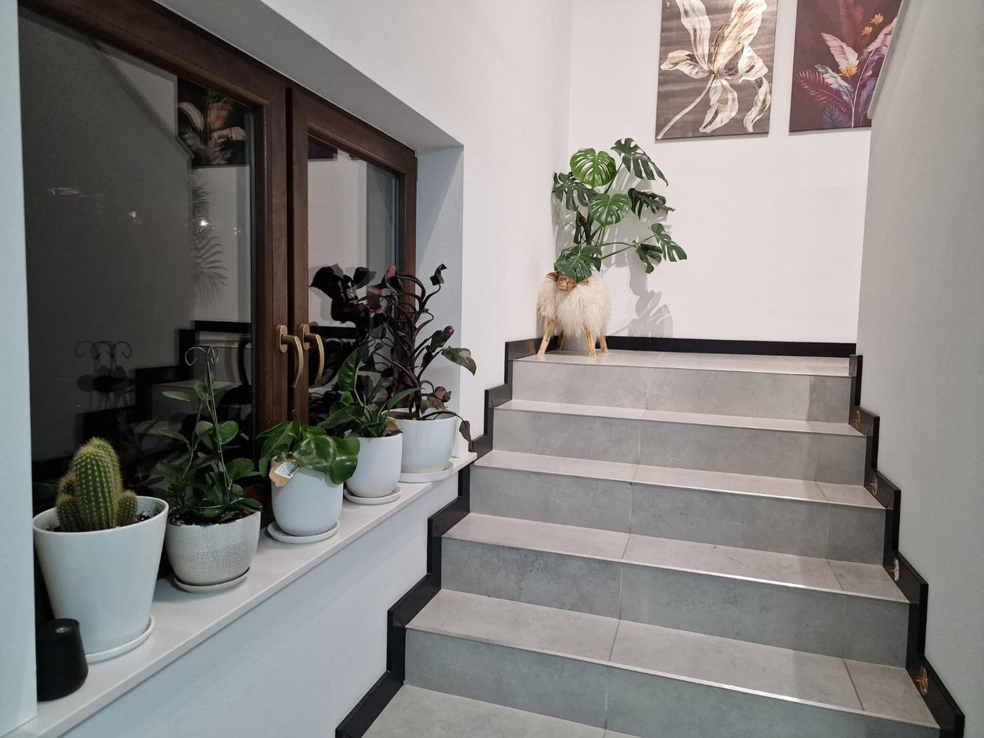 Male Ciche 36J Przy Ostrewkach, Widok Na Gory, Blisko Do Wyciagu Narciarskiego, Idealne Miejsce Na Wypad W Gory -Tarasowka-Zgorzelisko-Rusinowa Polana-Gesia Szyja-Palenica-Wiktorowki-Morskie Oko Murzasichle Exterior foto